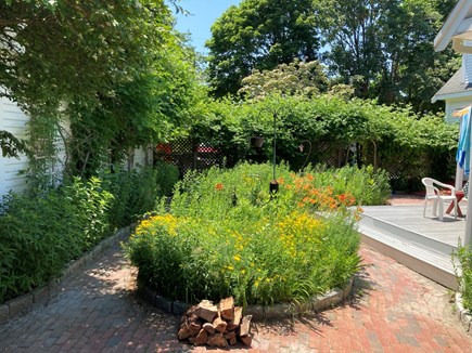 West Tisbury, Historic District Martha's Vineyard vacation rental - Patio Perennial Garden