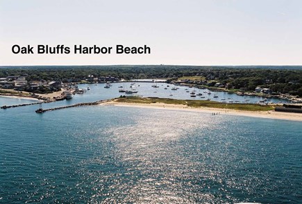 Oak Bluffs Martha's Vineyard vacation rental - Oak Bluffs Harbor