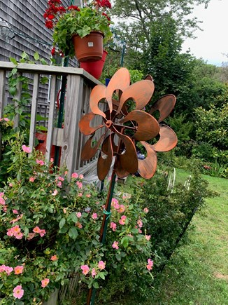 Oak Bluffs Martha's Vineyard vacation rental - Blooming flowers
