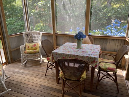Edgartown, Katama  Martha's Vineyard vacation rental - Screened-in porch
