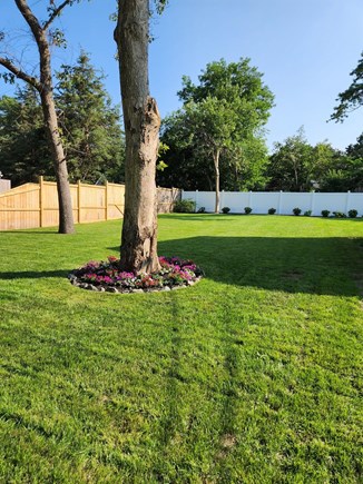 Oak Bluffs, Lagoon Heights Martha's Vineyard vacation rental - Expansive backyard with new landscaping