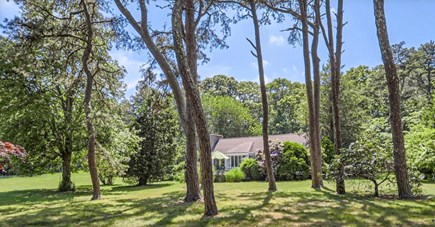Oak Bluffs, Sengekontacket Association, Oa Martha's Vineyard vacation rental - Backyard with Tall Pitch Pines