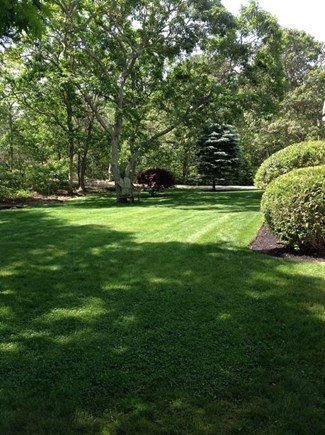 Edgartown Martha's Vineyard vacation rental - Expansive lawns- parking space for 6 cars