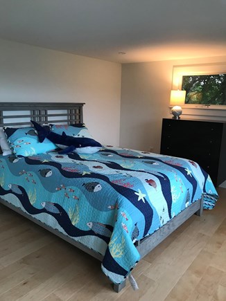 Oak Bluffs Martha's Vineyard vacation rental - Kids room with bed & IKEA fold out full sleeper futon.