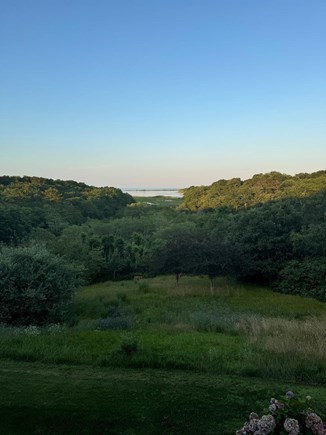 Oak Bluffs Martha's Vineyard vacation rental - Evening view from dining area