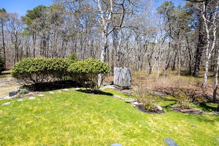 Vineyard Haven Martha's Vineyard vacation rental - Backyard