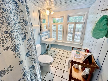 Oak Bluffs Martha's Vineyard vacation rental - 