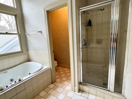 Vineyard Haven Martha's Vineyard vacation rental - Primary Bathroom with Soaking Tub and Walk-in Shower