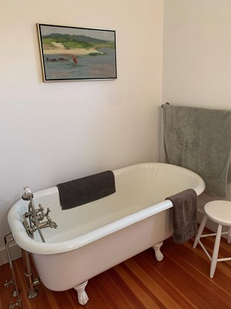 Chilmark, Menemsha Martha's Vineyard vacation rental - bathtub in master bath