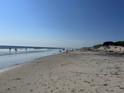 Chilmark Martha's Vineyard vacation rental - Private beach association access in Aquinnah