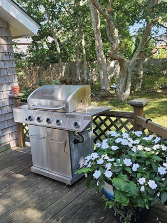 Edgartown Martha's Vineyard vacation rental - Fire up the grill for delectable MV culinary delights.
