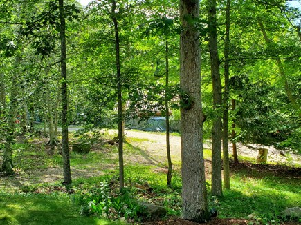 Chilmark Martha's Vineyard vacation rental - View of owner's barn from the house