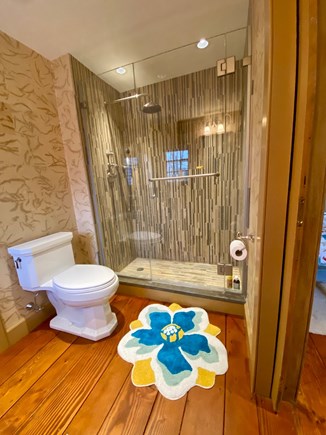 West Tisbury Retreat Martha's Vineyard vacation rental - Bathroom 3
