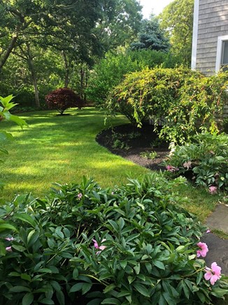 Edgartown Martha's Vineyard vacation rental - Outside gardens abound/ flowers in the Spring.
