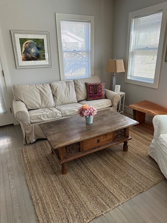 Edgartown Martha's Vineyard vacation rental - Living area has a fold out queen bed too!