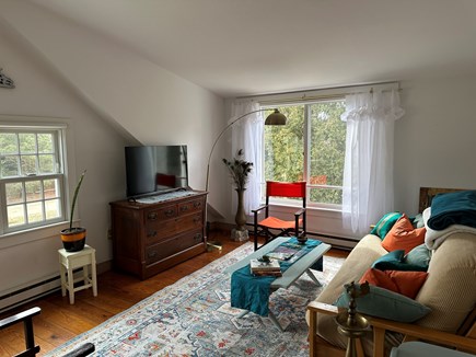 Edgartown, Katama Modern Rustic Gem Martha's Vineyard vacation rental - Apartment living room. Futon bed