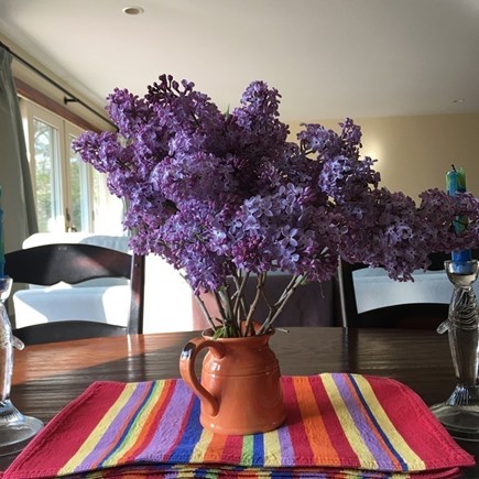 Chilmark, Menemsha Martha's Vineyard vacation rental - Flowers from the garden