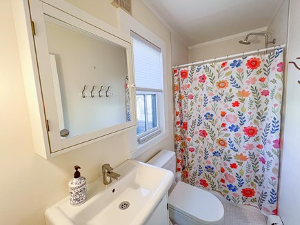Vineyard Haven Martha's Vineyard vacation rental - Hall Bathroom with Shower Stall, First Floor