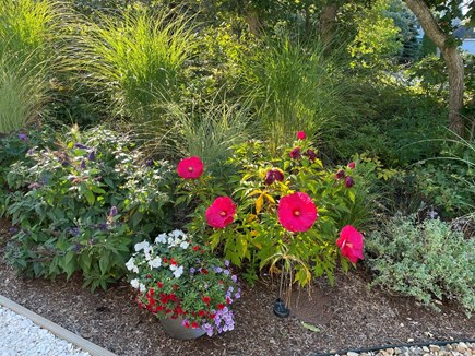 Edgartown (Katama area) Martha's Vineyard vacation rental - Garden space to enjoy!