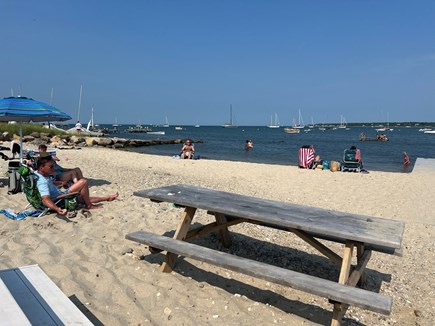 Vineyard Haven Martha's Vineyard vacation rental - Beach and swimming are just a short walk away