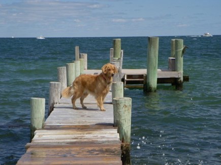 Vineyard Haven Martha's Vineyard vacation rental - The dock is perfect for lazy days of swimming and frisbee fetch