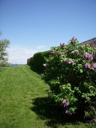 Vineyard Haven Martha's Vineyard vacation rental - The walk to the beach from the cottage