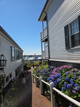 Edgartown Martha's Vineyard vacation rental - Pathway to courtyard, pool and bike parking