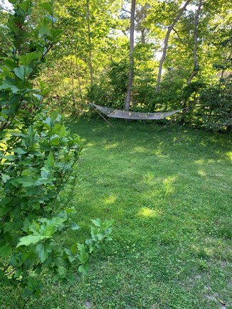 Vineyard Haven Martha's Vineyard vacation rental - Backyard