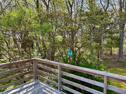 West Tisbury Martha's Vineyard vacation rental - Peaceful surroundings