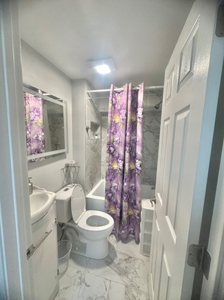 Oak Bluffs Martha's Vineyard vacation rental - Garden Suite Lower Level Full Bathroom
