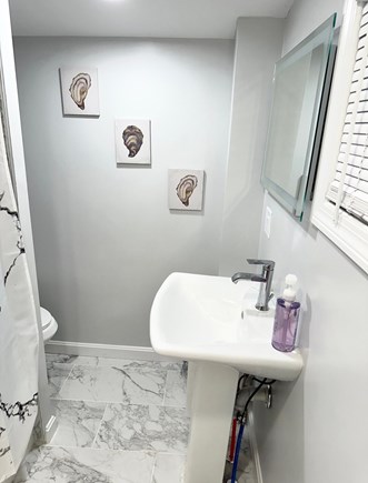 Oak Bluffs Martha's Vineyard vacation rental - First floor full bathroom with sky light