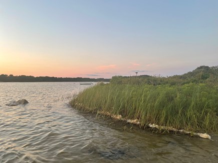 Martha’s Vineyard, West Tisbury Martha's Vineyard vacation rental - Pond walks