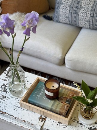 West Tisbury, Martha’s Vineyard, West Tisbur Martha's Vineyard vacation rental - Living Room Detail