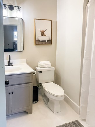 Oak Bluffs Martha's Vineyard vacation rental - Master bath with shower