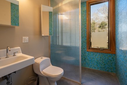 Oak Bluffs - East Chop Martha's Vineyard vacation rental - Main floor social bathroom with step-in shower.