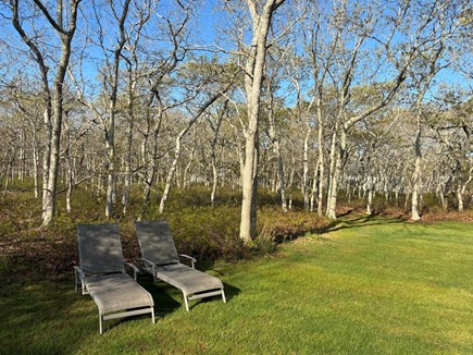 Katama-Edgartown, Katama - Edgartown Martha's Vineyard vacation rental - Yard is surrounded by trees making for a peaceful stay.