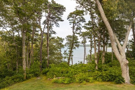 VIneyard Haven  Martha's Vineyard vacation rental - View from patio of lagoon.  Walk down the path to kayak beach!