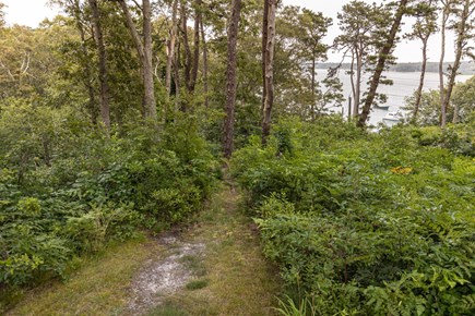 VIneyard Haven  Martha's Vineyard vacation rental - Path down to road (walk to town) and to kayak beach