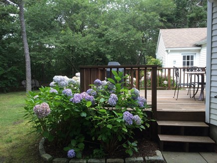 Katama-Edgartown Martha's Vineyard vacation rental - Deck and steps to outdoor shower