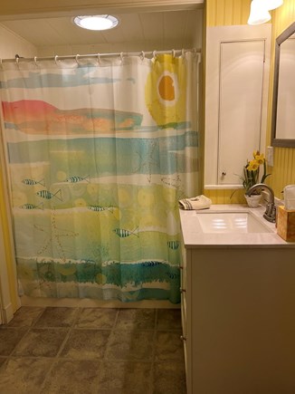 Edgartown  Martha's Vineyard vacation rental - Main Level full bathroom.