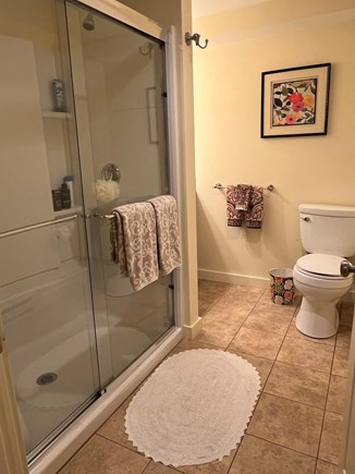 Edgartown  Martha's Vineyard vacation rental - Ground level suite full bath with walk-in shower.