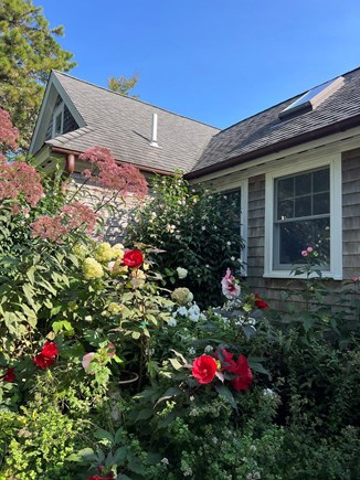 Edgartown  Martha's Vineyard vacation rental - Lush flower gardens.