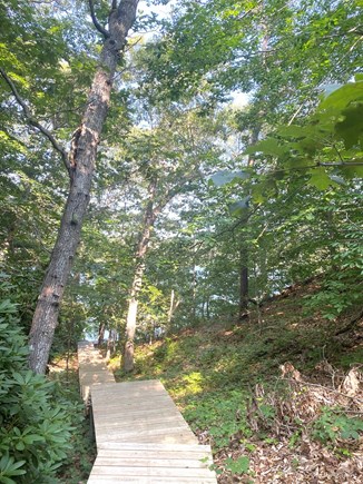 Vineyard Haven Martha's Vineyard vacation rental - Nearby trail with stairs to the lagoon (Beech Tree Preserve)