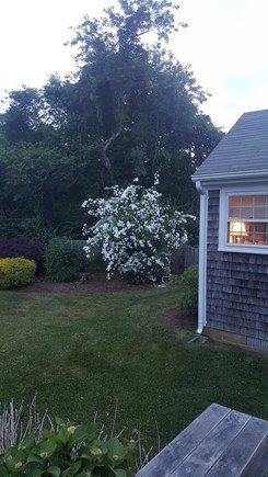 Edgartown Martha's Vineyard vacation rental - Backyard at Dusk