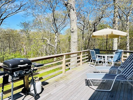 West Tisbury, Lambert's Cove Beach Martha's Vineyard vacation rental - Sunny deck