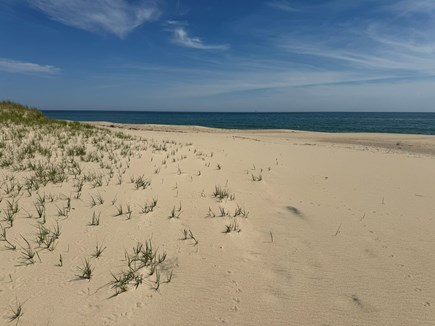 Edgartown Martha's Vineyard vacation rental - View East