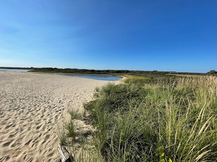 Edgartown Martha's Vineyard vacation rental - View back to the house.