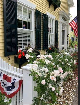 Edgartown Village Martha's Vineyard vacation rental - Roses in bloom