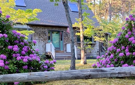 Oak Bluffs, Vineyard Hills Martha's Vineyard vacation rental - Springtime view