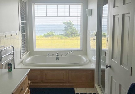 Edgartown, Chappaquidick Martha's Vineyard vacation rental - Primary Bath on the 1st Floor